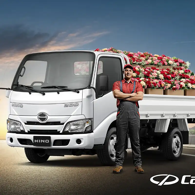 0126 cover web hino 01 b