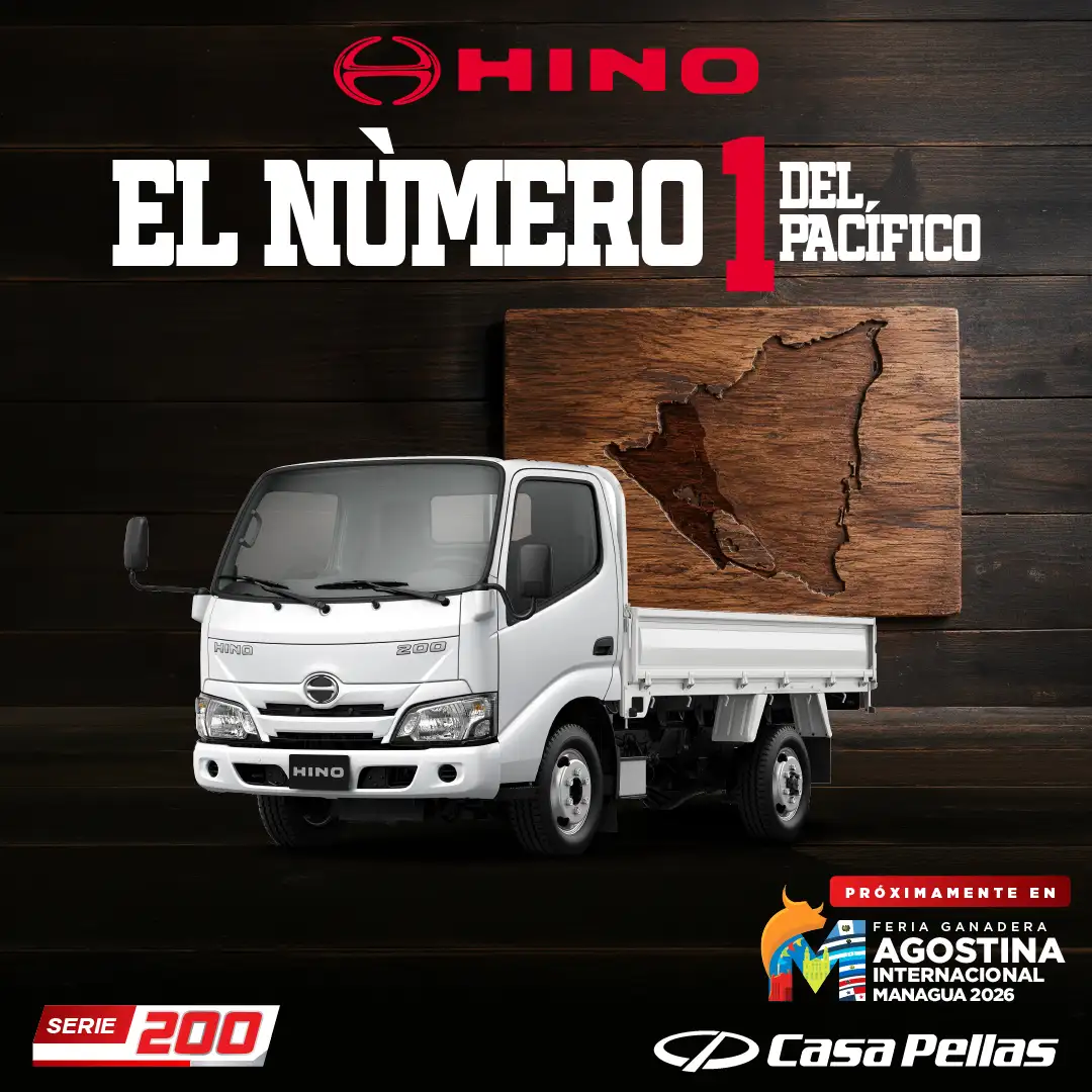 0626 ads hino 2 (small)